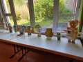 IMG-20230626-WA0007