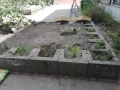 IMG_20230531_142535