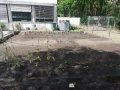 IMG_20230531_142652