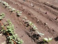 IMG_20230531_142738